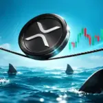 Crypto Hack Today: Frogman Wallets Drained Of $4 Million At TOKEN2049 Singapore